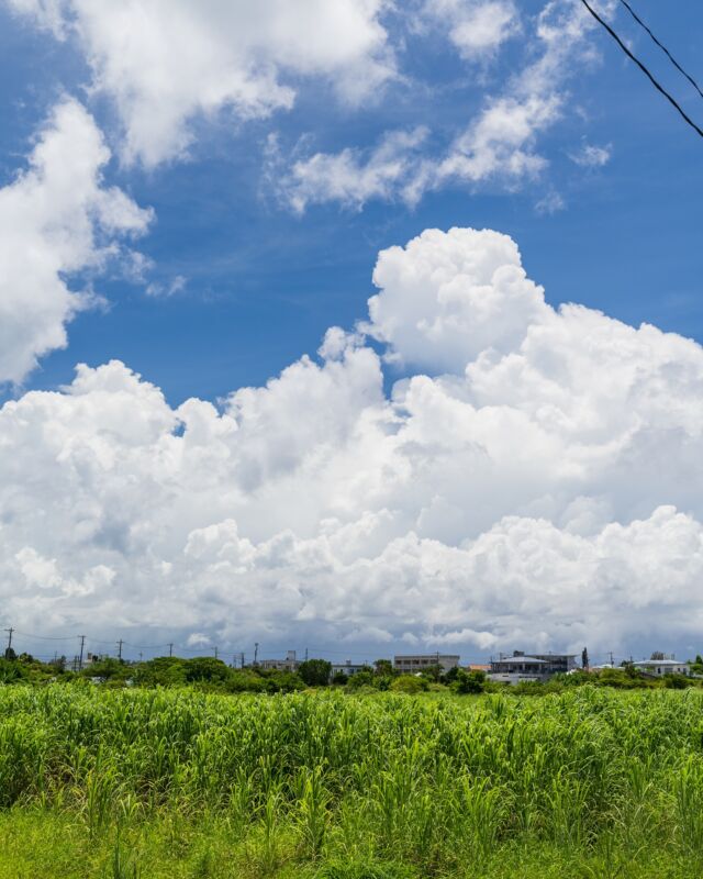 8月が終わる🌞

8月も今日で最後！
今年の夏も終わりますね😭
ほんと夏はいつもあっという間です🌞

なんやかんやまだ暑さは残りますが、
少しずつ涼しくなっていくでしょう👍

そんな今日は土曜日！
まだ暑さは続きますが
9月も頑張っていきましょーーー😊！
______________________________________
 #やんばる  #国頭村 #やんばるホテル
沖縄で１番野生のヤンバルクイナに会えるリゾートホテル 
______________________________________
宿泊する際のお支払い方法は、クレジットカード、電子マネー以外にも、auPAY、d払い、LINE Pay、メルペイ、PayPay、楽天ペイ、Jcoinペイがご利用できます。