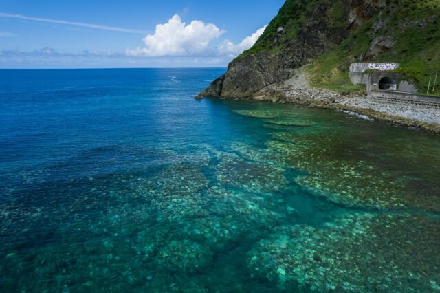 白化したサンゴ

今年は沖縄本島には台風が当たらなかった
影響かと思われます🙇‍♂️

白化したサンゴが多く確認できます🙇‍♂️
沖縄のサンゴは大丈夫なのだろうか‥！
と心配になった方！

７、8年前かな？同じように
台風が来ない年があったのですが
３、4年後には復活している印象でした👍

長い周期でみると
こういう事態は時々起きるようで、
今はサンゴがゆっくり回復するのを
見守る時期かもしれません🙇‍♂️
______________________________________
 #やんばる  #国頭村 #やんばるホテル
沖縄で１番野生のヤンバルクイナに会えるリゾートホテル 
______________________________________
宿泊する際のお支払い方法は、クレジットカード、電子マネー以外にも、auPAY、d払い、LINE Pay、メルペイ、PayPay、楽天ペイ、Jcoinペイがご利用できます。