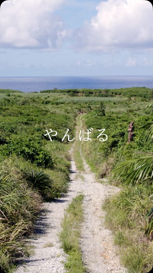 夏の景色☀️

寒くなったので
今日はホテルから車で約40分、
夏の辺戸岬近くの
景色を置いておきます😊

暑くて歩くだけで汗が滝のように流れた
あの日が懐かしいです😭

今日は週の折り返しの水曜日！
1日頑張っていきましょー👍！
______________________________________
 #やんばる  #国頭村 #やんばるホテル
沖縄で１番野生のヤンバルクイナに会えるリゾートホテル 
______________________________________
宿泊する際のお支払い方法は、クレジットカード、電子マネー以外にも、auPAY、d払い、LINE Pay、メルペイ、PayPay、楽天ペイ、Jcoinペイがご利用できます。